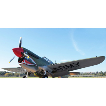 New Arrival Hot Selling DIY P40 12CH RC Plane